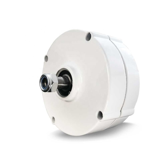 3 Phase Gearless Permanent Magnet 100w 12v 24v Alternator for Wind Water Turbine Alternator Generator