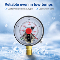 Industrial Electric Contact Pressure Gauge Adjustable Dual Reading Marking Pressure Gauge for Pressure Alarm Control System