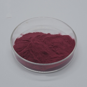 ผงสารสกัดจาก Bilberry ธรรมชาติ25% แอนโธไซยานิน<span class=keywords><strong>36%</strong></span> แอนโธไซยานินสำหรับอาหารเสริมเพื่อสุขภาพ - Product Image 3