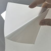 Rollo de Vinilo Translúcido para Retroiluminación, Resistente a los Rayos UV, para Señalización Iluminada y Cajas de Exhibición