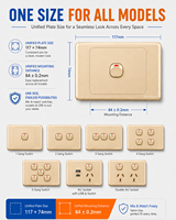 Interrupteur mural doré standard australien 10A 6 prises 1-5 gang avec interrupteur d'éclairage et adaptateur USB Type C SDK prise AU
