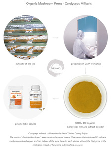 Qinshantang אורגני 15:1 באיכות גבוהה 10:1 <span class=keywords><strong>cordyceps</strong></span> מיליאריס 20:1 תמצית פטריות אבקת - Product Image 4