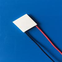 Refroidisseur thermoélectrique à semi-conducteurs Peltier 20x20 TEC103108 03105 03106 3.7V Module Peltier
