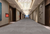 Nylon-Breitformat-Teppichboden 3,66m Rücken Schallabsorbierend Gepolstert Vertrieb Hotel Treppen Bodenbelag