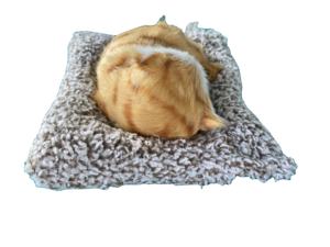 Simulación de coche perro carbón de bambú gato diseño personalizado carbón activado nuevas bolsas Purificadoras de carbón de bambú para purificar el aire - Product Image 3