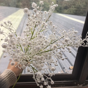 Nuovo Design Fiori Artificiali <span class=keywords><strong>di</strong></span> Alta Qualità: Rose Bianche, Ortensie e Phalaenopsis - Ingrosso - Product Image 4