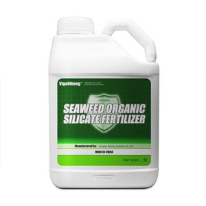 Fertilizzante organico di Boro di calcio liquido <span class=keywords><strong>a</strong></span> sgancio rapido alga CA & <span class=keywords><strong>B</strong></span> per uso agricolo - Product Image 4