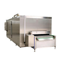 Dezoton Ultra Low Temperature Tunnelvriezer, continu snelvriesapparatuur voor fruit, groenten en voedsel