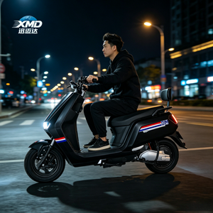 공장 직판 1000W 60V 배터리 14인치 성인용 새 전기 자전거 2륜 브러시리스 리어 허브 모터 3단 기어 - Product Image 6