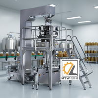 Machine de remplissage automatique MTW pour chips de pommes de terre, fruits secs, tranches de légumes, noix, kimchi