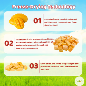 Hot Selling In Vietnam Cube Freeze Dried Mango Fruits Snack Crisp Frozen Dried Mango Cube 35g/bag - Product Image 3