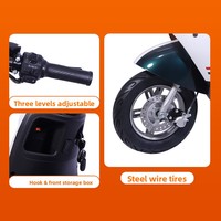 Véhicule électrique portable à deux roues pour adultes, modèle Turtle King, pour le commerce transfrontalier, avec moteur 1000W et vitesse de 55 km/h