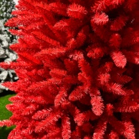 Hochwertiger OEM Roter PVC-Kunstweihnachtsbaum mit Metallständer für Innenräume, Feiertage, Heim- und Partydekoration, Künstlicher Weihnachtsbaum