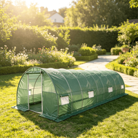 Serre tunnel 10x30 pieds : structure en acier galvanisé et couverture en PE, abri de jardin robuste pour plantes