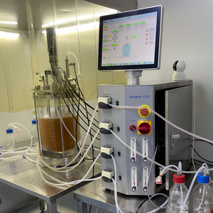 Biorreator de ácidos hialurônicos para extração de fermentação laboratorial 2l, recipiente fermentador - Product Image 3