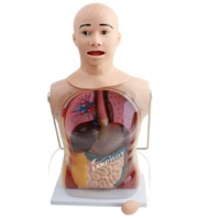 Maniquí de Enfermería Avanzado para Prácticas de Intubación Nasogástrica y Traqueal, para Entrenamiento de Enfermeras en Escuelas y Hospitales, Modelo Corporal