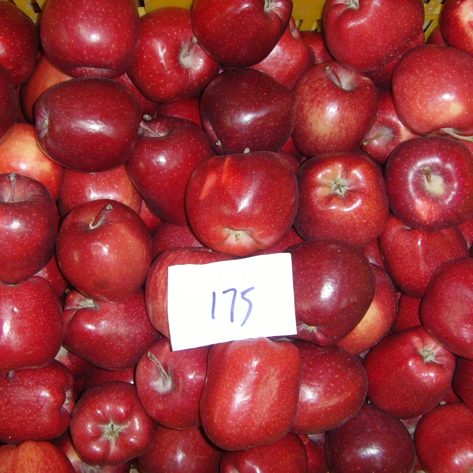 Fresh Chinese crispy Red Fuji apple fruit Huaniu apple Qinguan apple Super quality