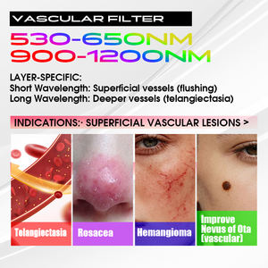 Appareil professionnel de raffermissement cutané au laser BBL, 8 filtres, dispositif de lifting du visage, anti-âge, élimination des rides, 4 têtes - Product Image 5