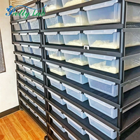 Système de rack d'éclosion pour serpents, bacs d'élevage en PVC pour reptiles avec chauffage pour python ball