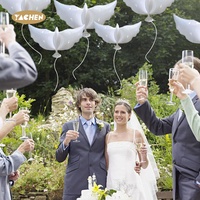 Ballon en aluminium mylar, oiseau blanc de la paix 23 cm, grands ballons à hélium, pour la saint-valentin, pour décoration de mariage