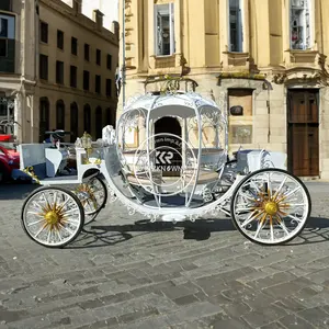 Vendita calda carrozza elettrica europea della famiglia reale del cavallo del giardino elettrico dei bambini della moda di lusso della carrozza