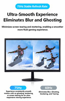 Moniteurs d'Affichage LED pour PC Gamer OEM 19 20 22 Pouces 75Hz Ordinateur de Bureau Jeux 1080P Moniteur LCD
