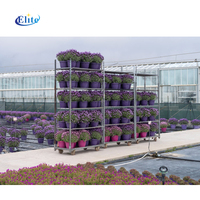 Chariot à fleurs fraîches à quatre roues en acier inoxydable, porte-plantes CC, chariot à fleurs hollandais, OEM personnalisable, capacité de charge de 600 kg