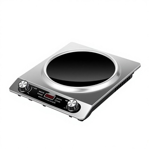 Cocina de Inducción Portátil de 2000W, Cocina Eléctrica Impermeable de Acero Inoxidable para Uso en Hoteles y Autocaravanas YLM-LX500 - Product Image 1
