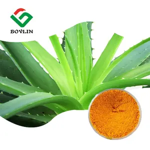 Aloe Emodin Supply 100g Bag Aloe Vera Extract Aloe-emodin 98%