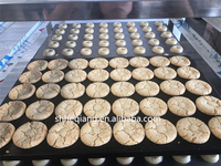 Mini ligne de production de biscuits, dépôt de biscuits, nouveau Design