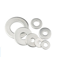 0.1mm 0.2mm 0.3mm 0.5mm Flat Custom Zinc Plated 18-8 Stainless Steel Shim Washers