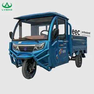 LB-QFB180 60V 3000W Mobility Electric Vehicle Electric Trike Cargo With EEC Certification