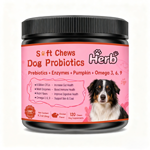 Friandises pour chiens, marque privée, 60 gommes molles, soins des animaux de compagnie, santé digestive, friandises nutritives prébiotiques et probiotiques, compléments alimentaires - Product Image 1