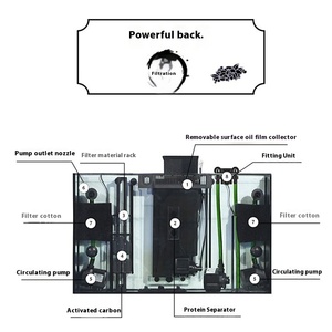 Redsea <span class=keywords><strong>Max</strong></span> E Bể Cá Nước Biển Bể Đặt Hình Chữ Nhật Sống Miễn Phí Vận Chuyển 220V Điện Áp Bao Gồm Dưới Tủ Kính Kệ - Product Image 4