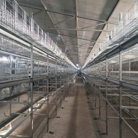 Dimension automatique de cage de batterie de couche de poulet d'équipement d'élevage de volaille pour la cage de couche de poulet 1000