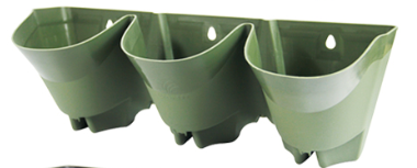 Vert 3pcs * 12