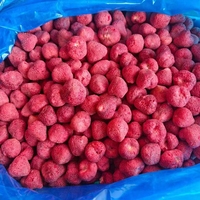 Fabrieksgroothandel 100% natuurlijke gevriesdroogde hele aardbeien FD knapperig fruit zonder toevoegingen bulk levering