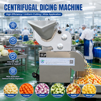Hoge capaciteit centrifugale groente- en fruit snijmachine voor catering, voedingsfabrieken, aardappel, wortel, appel, blokjes snijden