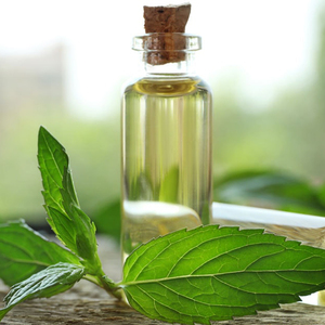 Private Label Essential <strong>Oil</strong> for Aromatherapy Diffuser 100% Pure Premium Grade Peppermint <strong>Oil</strong> for Skin Hair Care Body Massage - Product Image 2