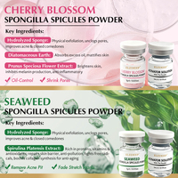 Poudre de traitement de l'acné à base de spicules de Spongilla, peeling bio-microneedling, atténue les taches brunes, soin anti-âge pour la peau