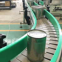 Bande transporteuse en plastique et acier inoxydable avec vitesse réglable, chaîne à lattes en acier au carbone peinte par pulvérisation, durable et efficace