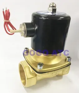 Hoge Kwaliteit 2 Way 2 W Messing Lucht Gas Water Solenoïde Koperen Klep 3/8 1/2 Inch 220V Ac Normaal Dicht 2w160-10 2w160-15 Draad Lood Type Klep