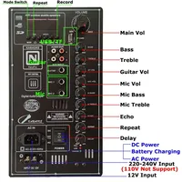 Carte d'amplification numérique 12V 110V 220V 2.0 Stéréo 2*150W 300W pour haut-parleur de 8 à 18 pouces avec entrée microphone et guitare