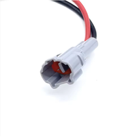 Faisceau de câbles automatique personnalisé Assemblage de câblage de véhicule isolé en PVC Connecteurs multiples pour les applications automobiles électroniques de voitures
