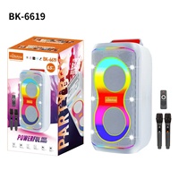 Sistema de Karaoke para el Hogar con Sonido Estéreo TWS BK-6619, Subwoofer de 6.5 Pulgadas X2, Audio Estéreo de Alta Fidelidad, RGB, Micrófonos Dobles para Fiestas al Aire Libre
