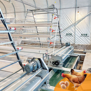 Nouvelle cage à poulets à 3 niveaux entièrement automatique <span class=keywords><strong>de</strong></span> type A en acier inoxydable galvanisé à chaud avec courroie <span class=keywords><strong>de</strong></span> nettoyage du fumier pour une économie <span class=keywords><strong>de</strong></span> main-<span class=keywords><strong>d</strong></span>'œuvre - Product Image 2