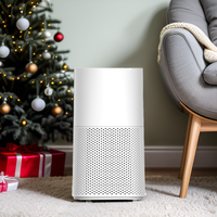 Purificateur d'air intelligent Wifi Tuya pour la maison, grande pièce, chambre à coucher, marque privée Aromacare, OEM