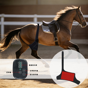 Lampe infrarouge pour cuisses de cheval 810nm, dispositif de thérapie de relaxation musculaire portable pour la récupération des jambes et des bras - Product Image 1