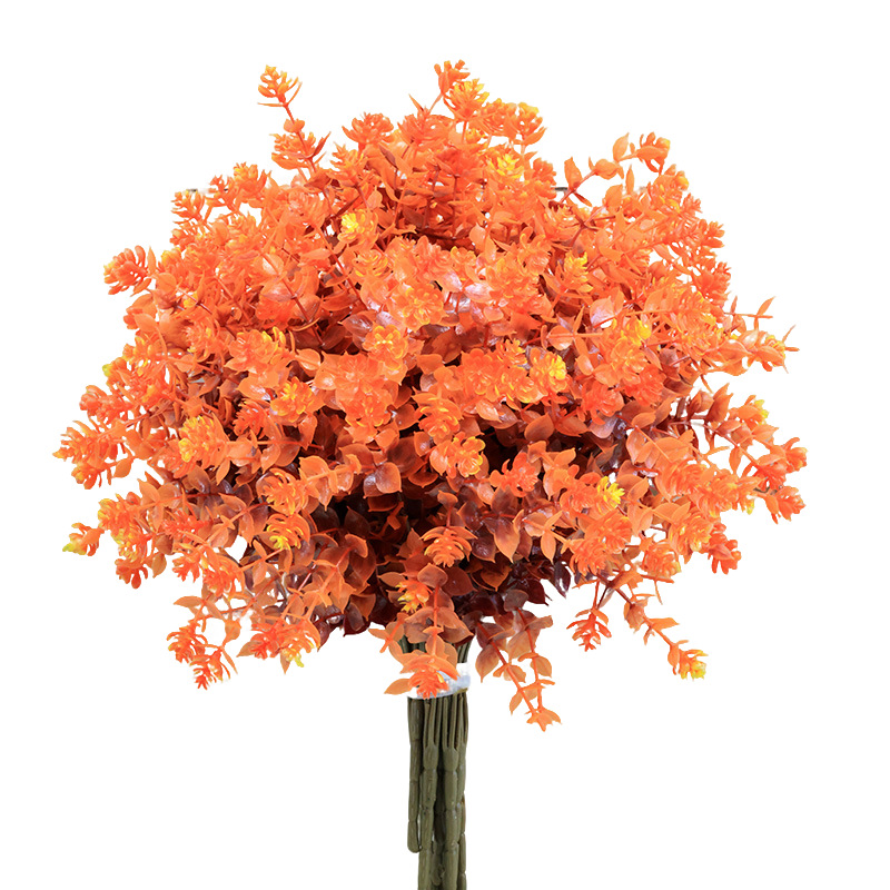 En automne, les fleurs californiennes deviennent rouge foncé à la fin de l'automne.