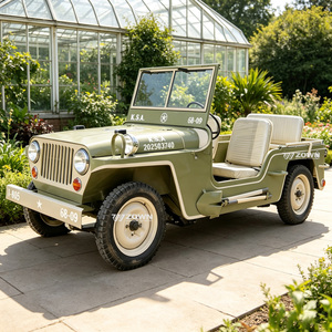 Voiture électrique de tourisme classique vintage, conçue pour le confort humain, 5 à 12 places, idéale pour les parcs d'attractions - Product Image 1
